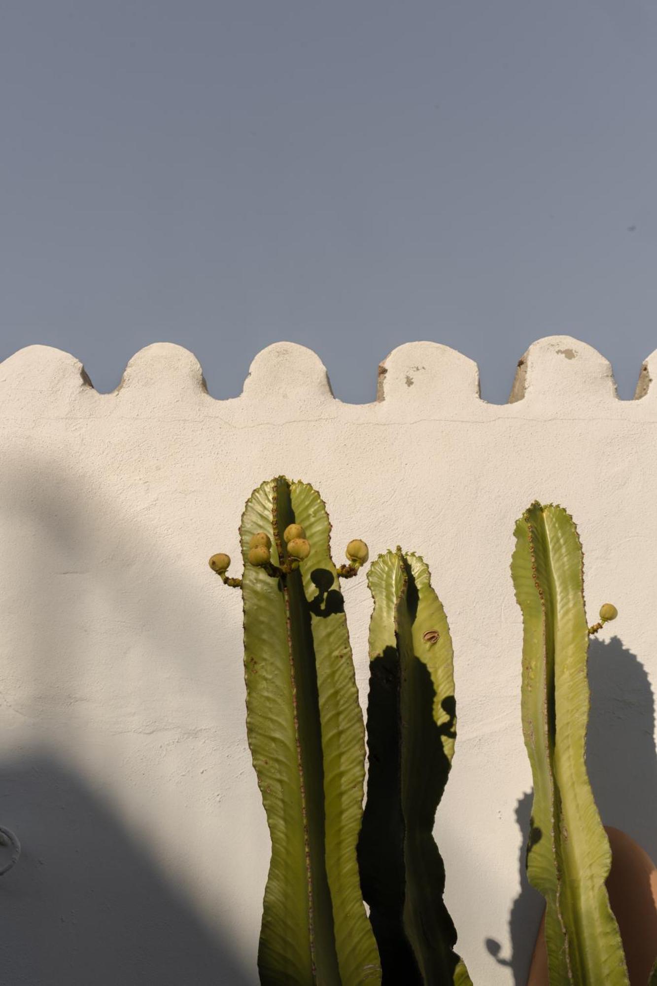 Maison d'hôtes Casa Uva - Boutique Vejer de la Frontera
